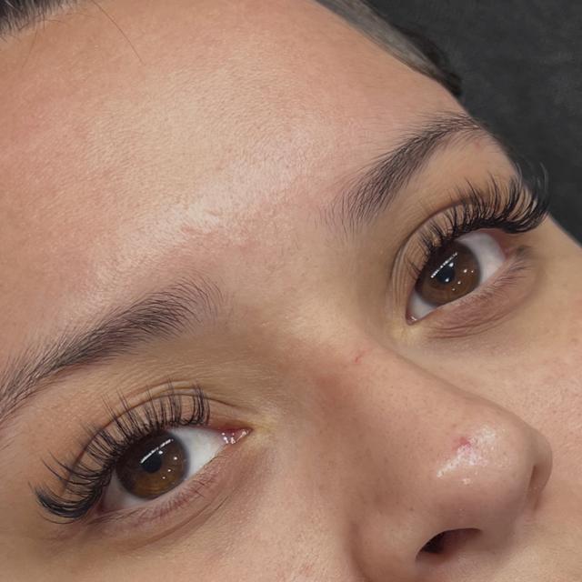 Feathered Glam - 2x Fill Bundle